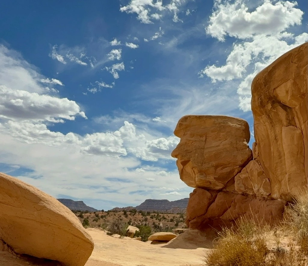 Most Wanted Rock™, a sandstone formation at Devil's Garden in Escalante, Utah, photographed by Jennifer for UTAZNM