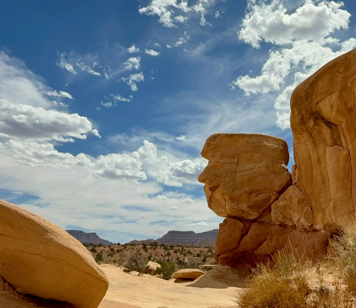Most Wanted Rock™, a sandstone formation at Devil's Garden in Escalante, Utah, photographed by Jennifer for UTAZNM